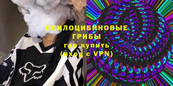 стафф Бронницы